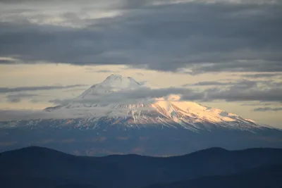 DSC_0112 (Large).JPG